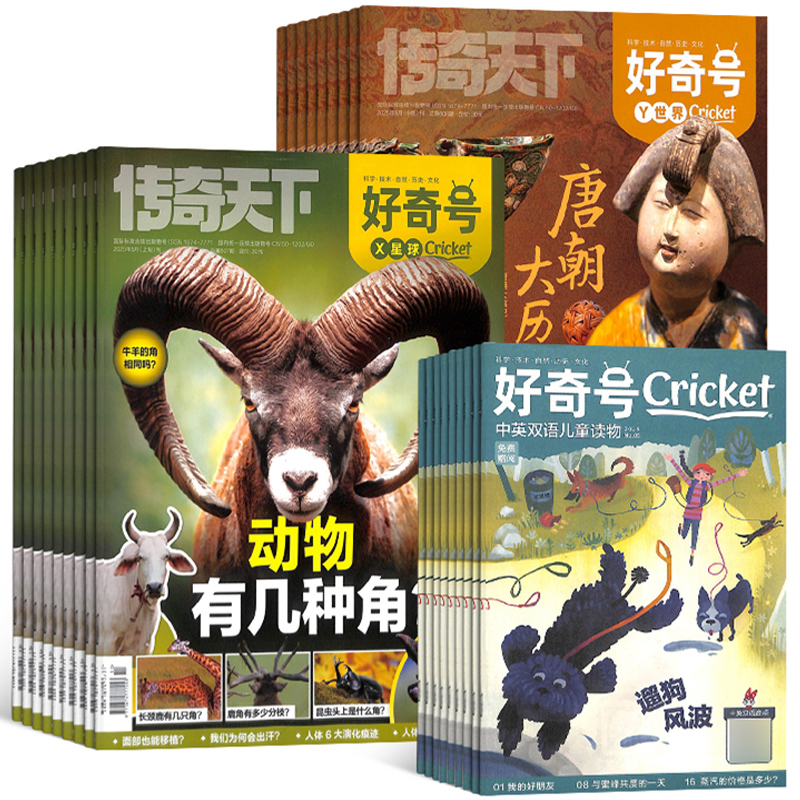 《好奇號(hào)雜志》（2025年6月期，共3冊(cè)，贈(zèng)雙語(yǔ)冊(cè)子）券后23元包郵