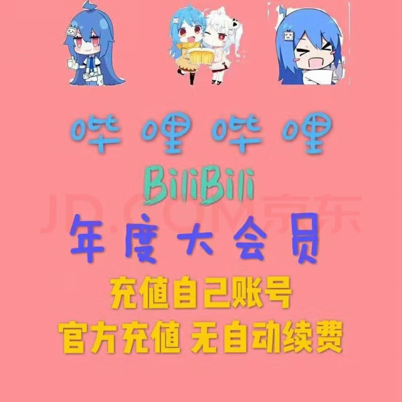 嗶哩嗶哩 bilibili 大會員一年 bilibili B站一年大會員 1年 12個月 一次到賬1年（不支持電視）