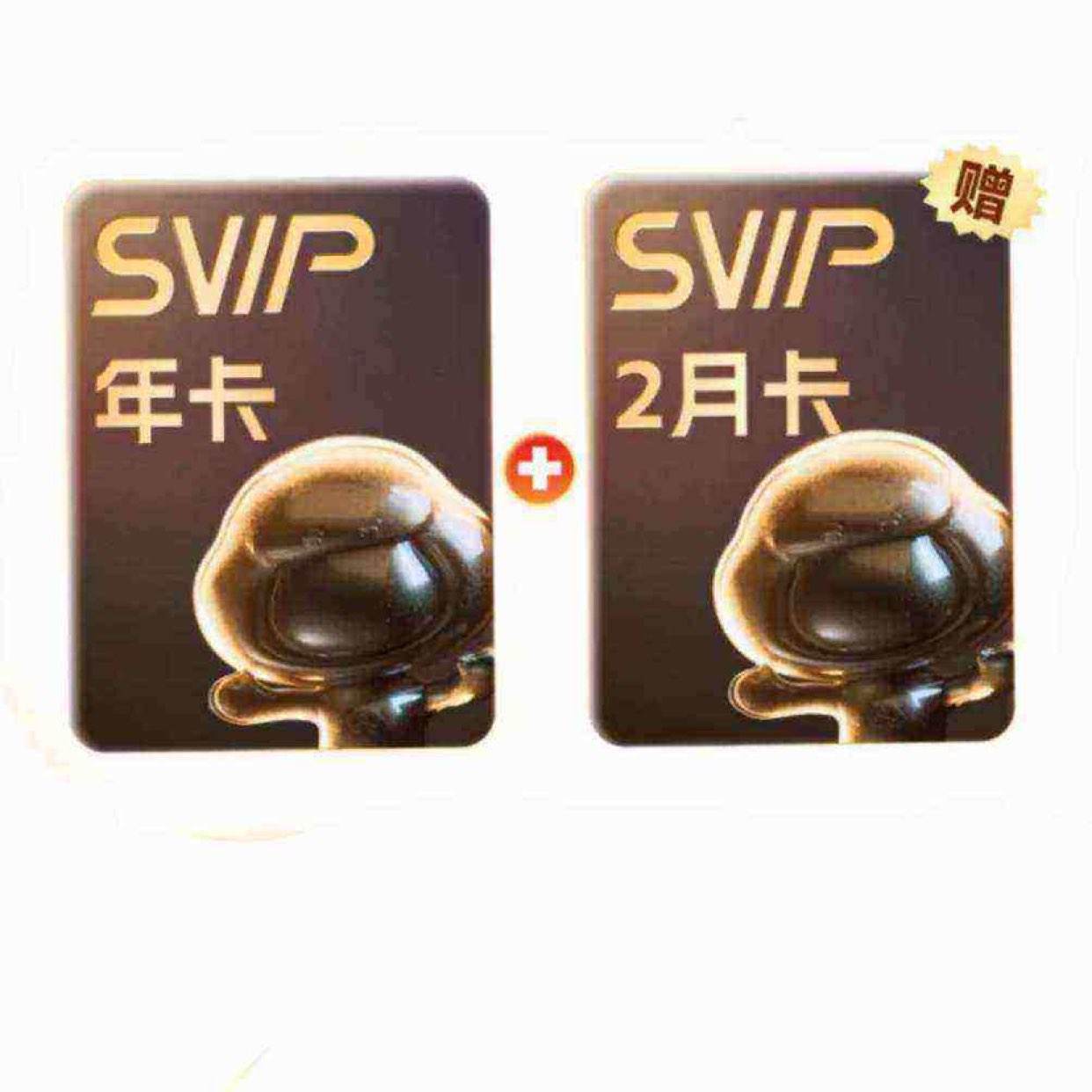 百度網盤 SVIP會員 14個月