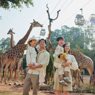 雙11狂歡：廣州長隆2天1晚動物世界歡樂世界飛鳥雙11【含早餐+免費升房】
