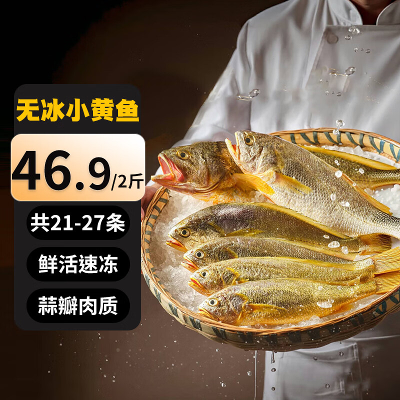 京東 海皇灣黃花魚 生鮮 魚類 大黃魚海鮮水產海鮮魚類 小黃花魚2斤】21-27條