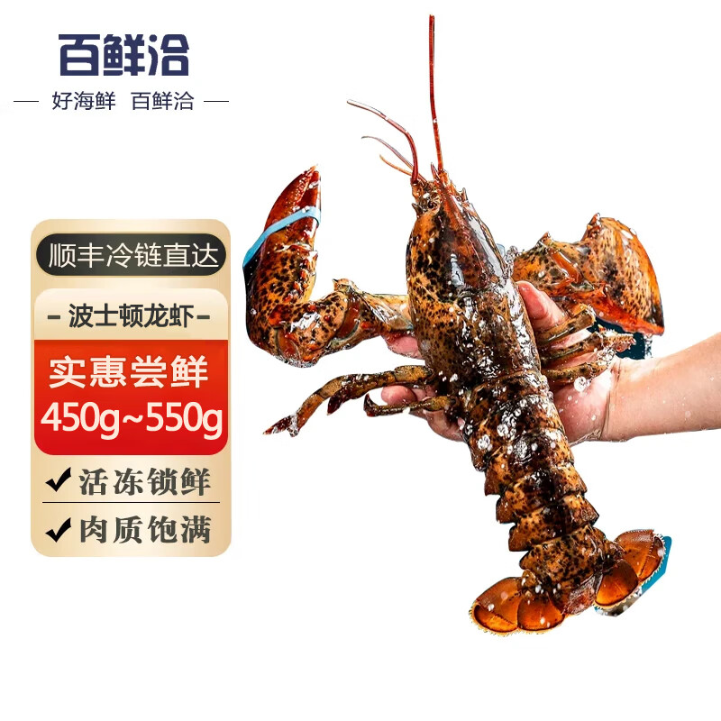 百鮮洽 特大龍蝦波士頓龍蝦1只裝（600g-750g/只）