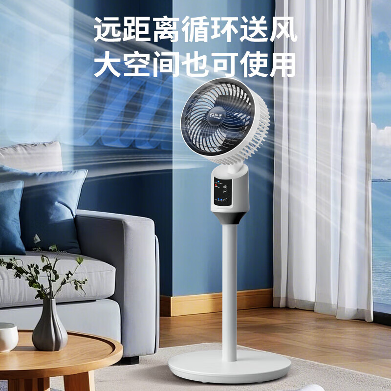 揚(yáng)子 電風(fēng)扇