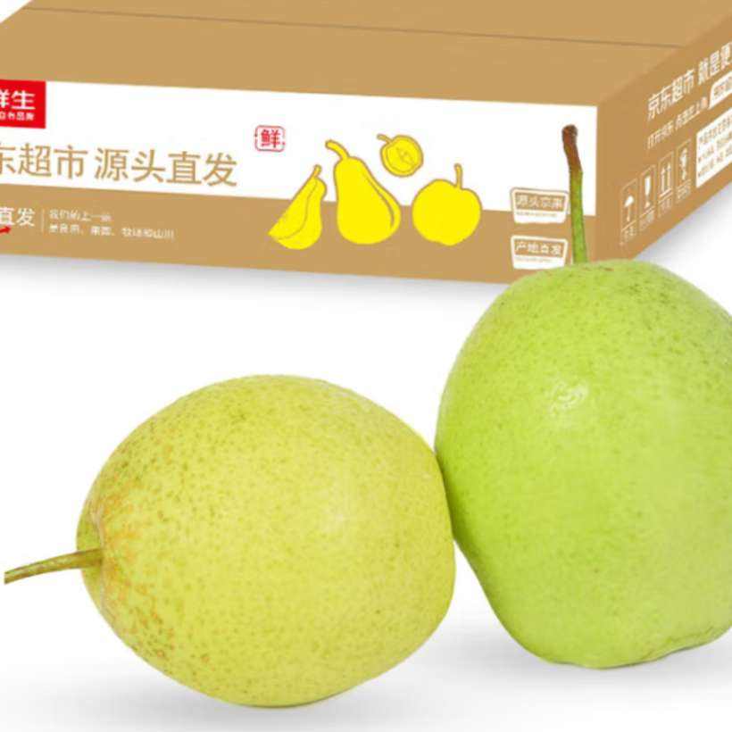 京鮮生 河北老樹雪花梨 凈重4.5斤 單果250g+ 生鮮水果 源頭直發包郵