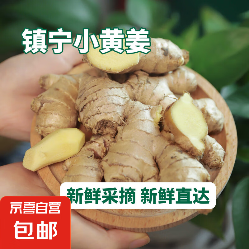 京喜 產地直發貴州鎮寧新鮮現挖小黃姜生姜 三斤裝 1500g 凈重