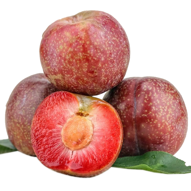 再降價(jià)：京覓 廣東韶關(guān)翁源三華李3斤中果25g+ 甜口微甜大李子