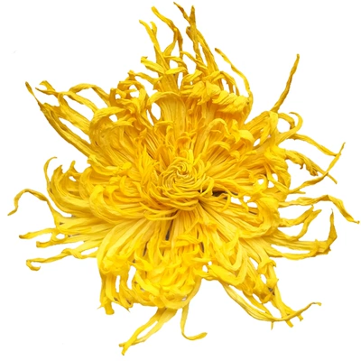 88VIP：徽春堂 金絲皇菊 約50朵