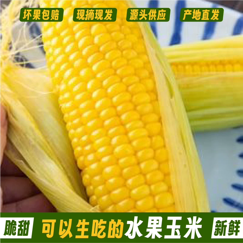 樹悅 明星推薦云南水果玉米4-4.5斤