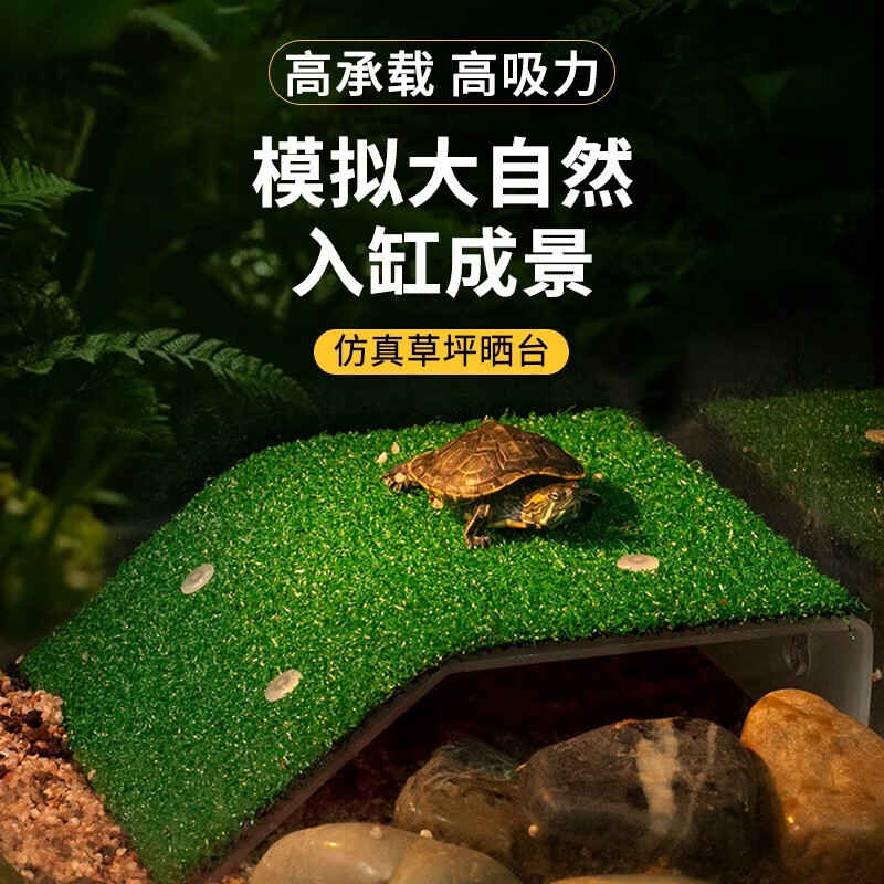 crazy aquatic plant 瘋狂水草 烏龜草皮曬臺 防滑 小號
