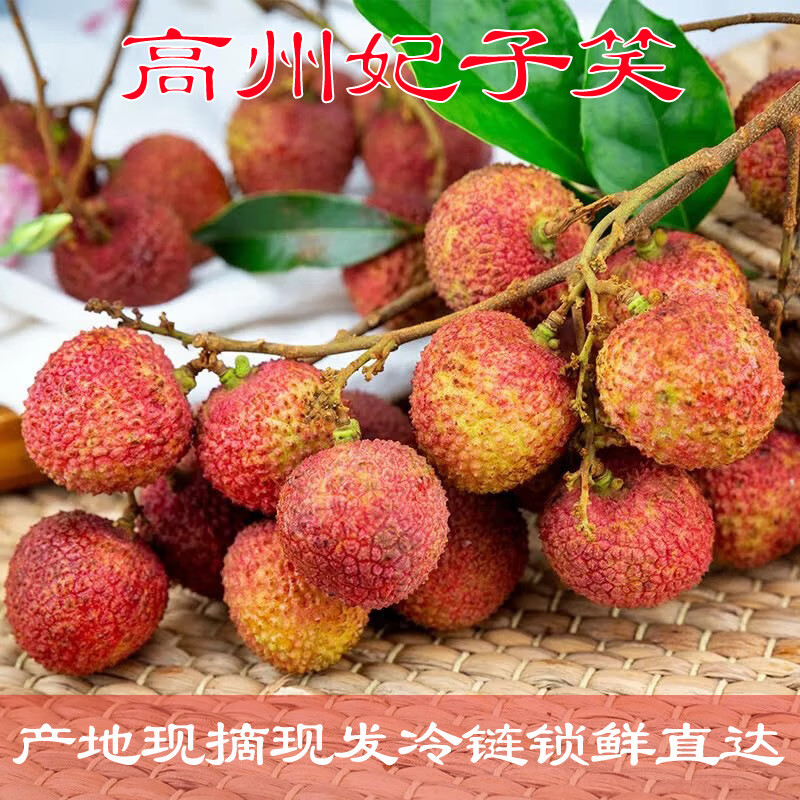 妃子笑荔枝 單果18g+、凈重4.5斤