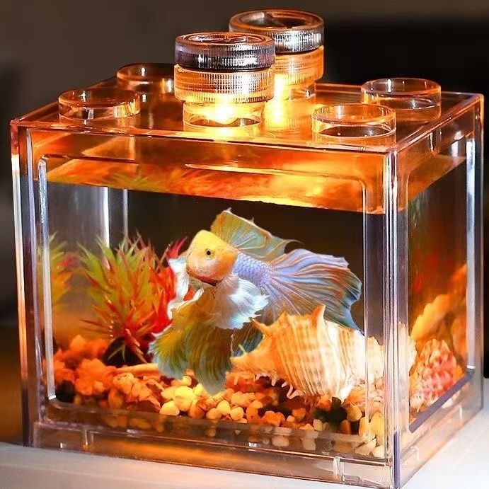 網(wǎng)紅款桌面造景擺件斗魚小魚缸積木缸生態(tài)缸水族箱烏龜昆蟲寵物盒