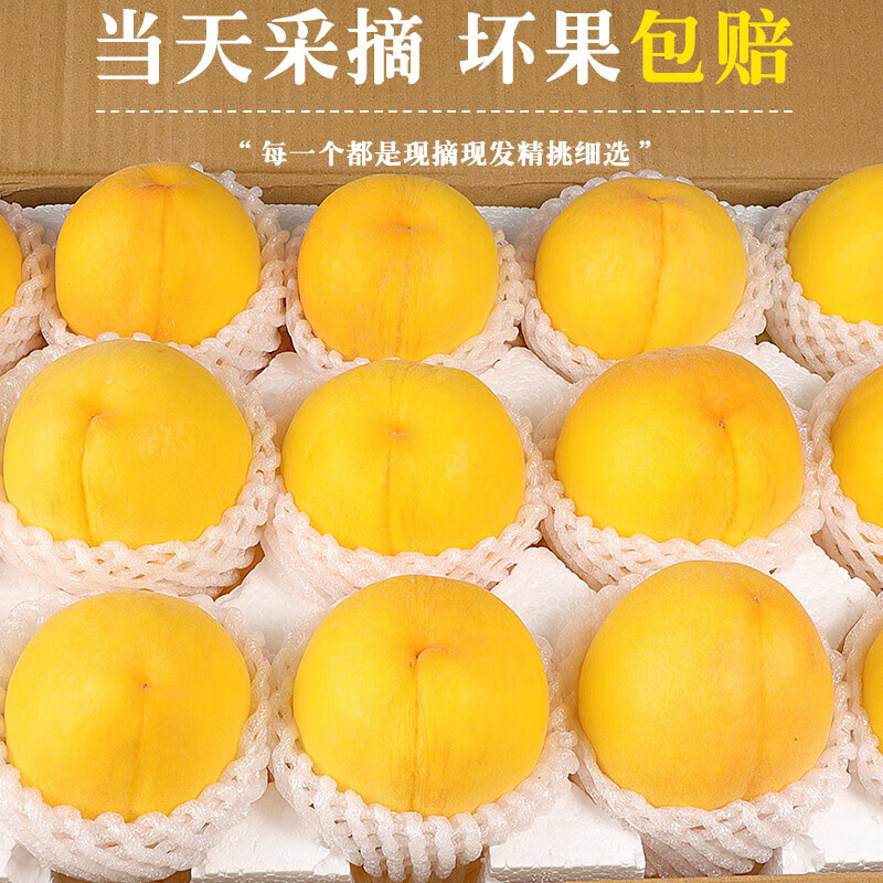閩域?qū)r 山東蒙陰黃桃 凈重4.5斤丨單果100g+【果園直發(fā) 甄選老樹果】