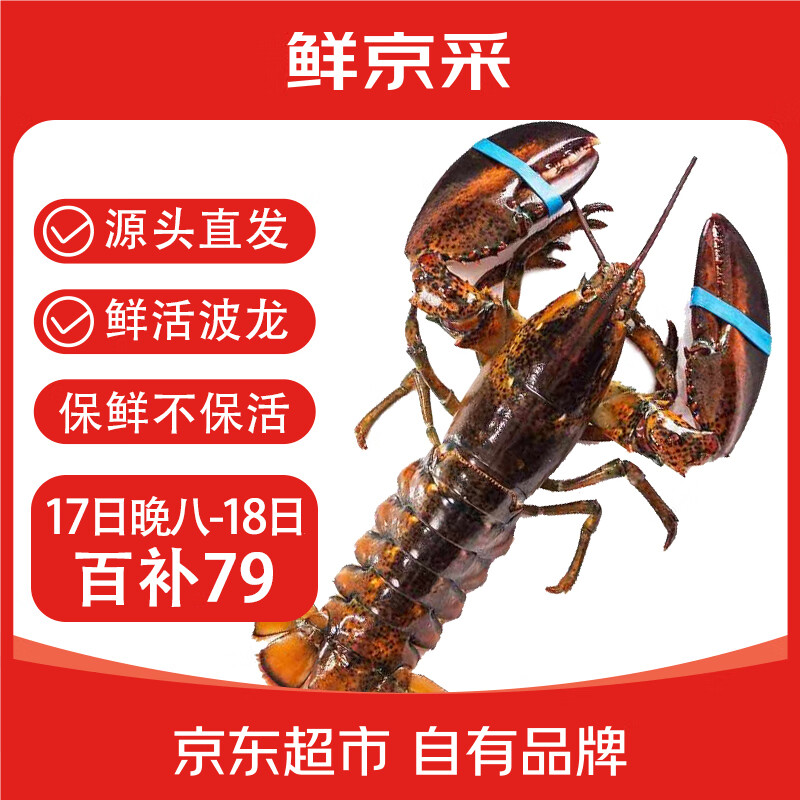 白 菜！鮮京采 活鮮 加拿大進口波士頓龍蝦 凈重450-550g