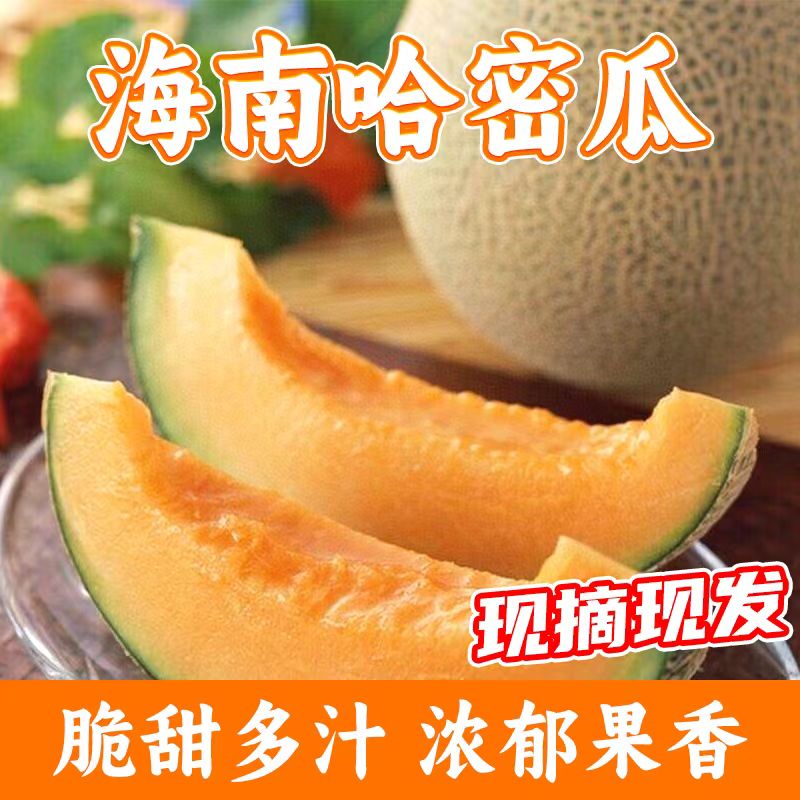 山東哈密瓜 9斤帶箱(凈重8.5斤)3-5個 精選裝