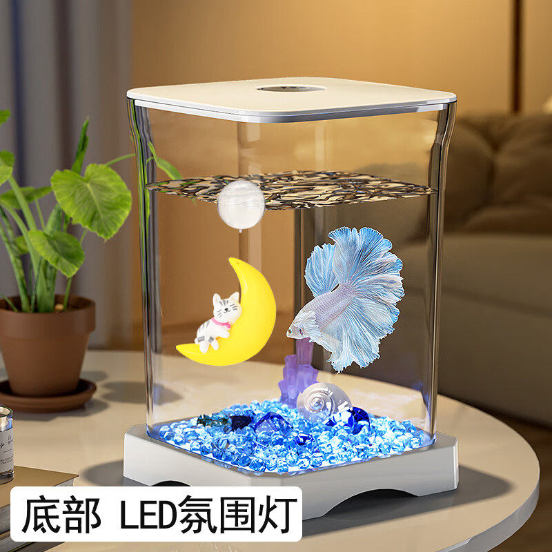 燕之雁 桌面斗魚缸 微景觀魚缸 迷你水族箱 單色LED燈+造景+蓋+托盤