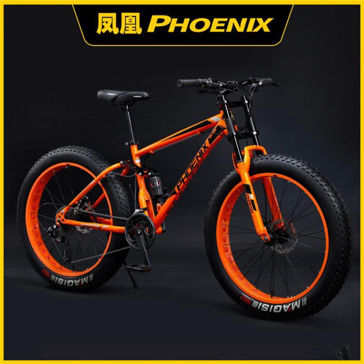 PHOENIX 鳳凰 24英寸山地自行車成人越野車沙灘雪地車大輪胎男女式學生變速車