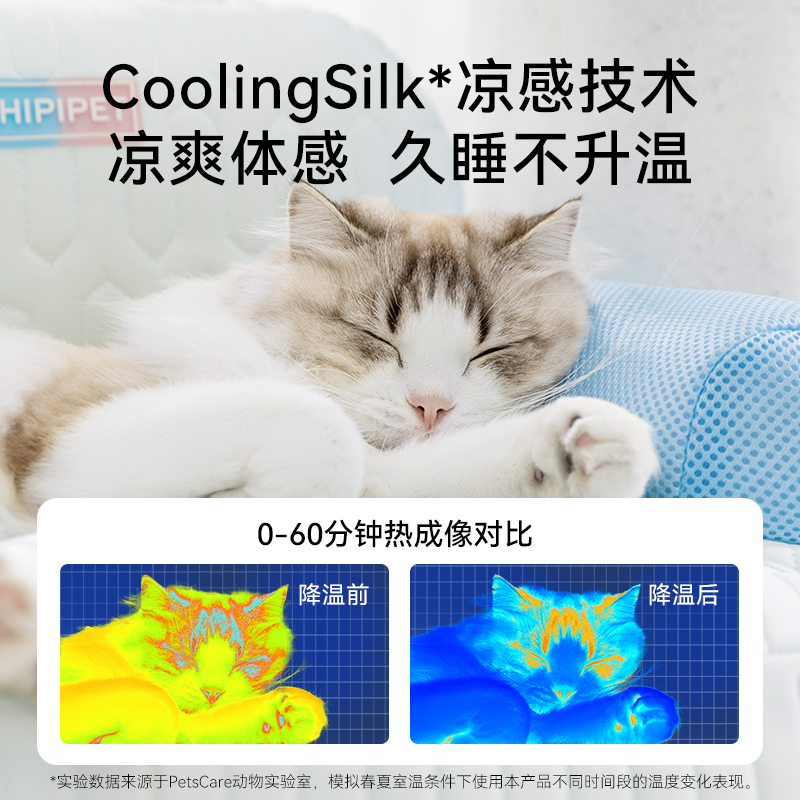 神經(jīng)貓 貓窩四季通用貓床可拆洗新型貓咪沙發(fā)小貓幼貓夏天貓睡窩寵物狗窩
