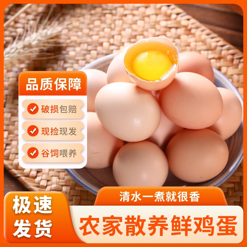 豫宛農(nóng)夫新鮮農(nóng)家谷物蛋 山林散養(yǎng)柴雞蛋 50枚2000g