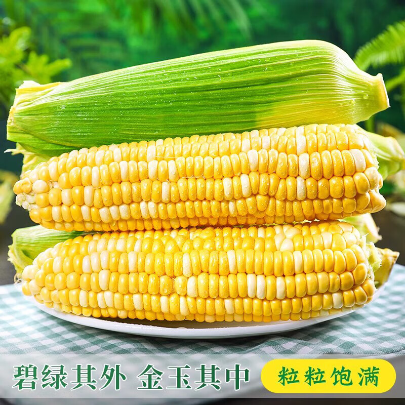 粵迎 云南金銀水果玉米 5斤精選果【果農(nóng)手挑】凈4.7斤