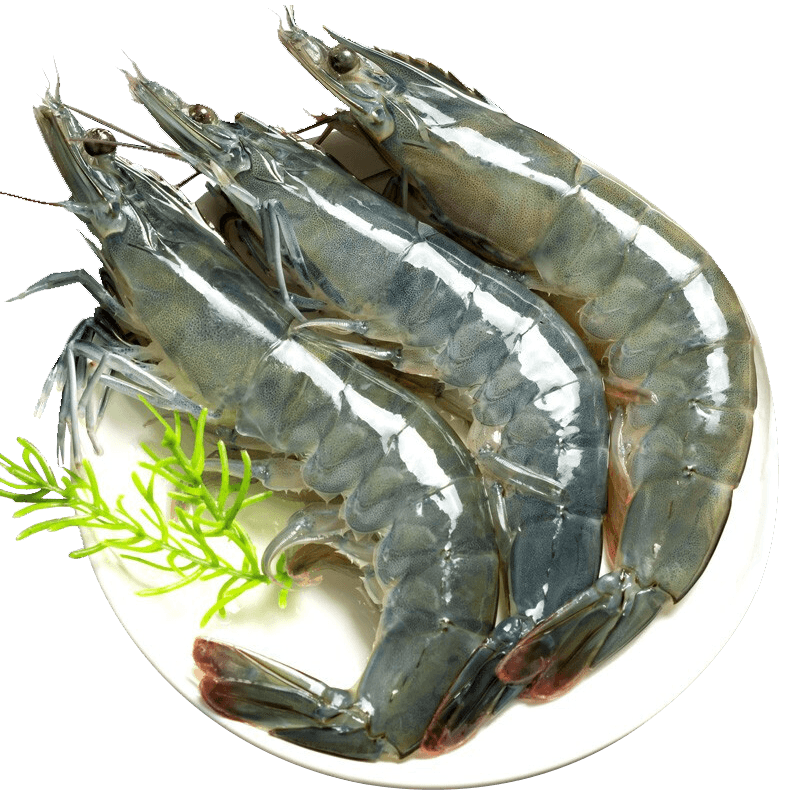 蝦有蝦途國產(chǎn)青島大蝦白蝦青蝦基圍蝦鮮蝦冷凍生鮮蝦類鮮活特大海捕整箱裝 14-16厘米 3斤(凈重)