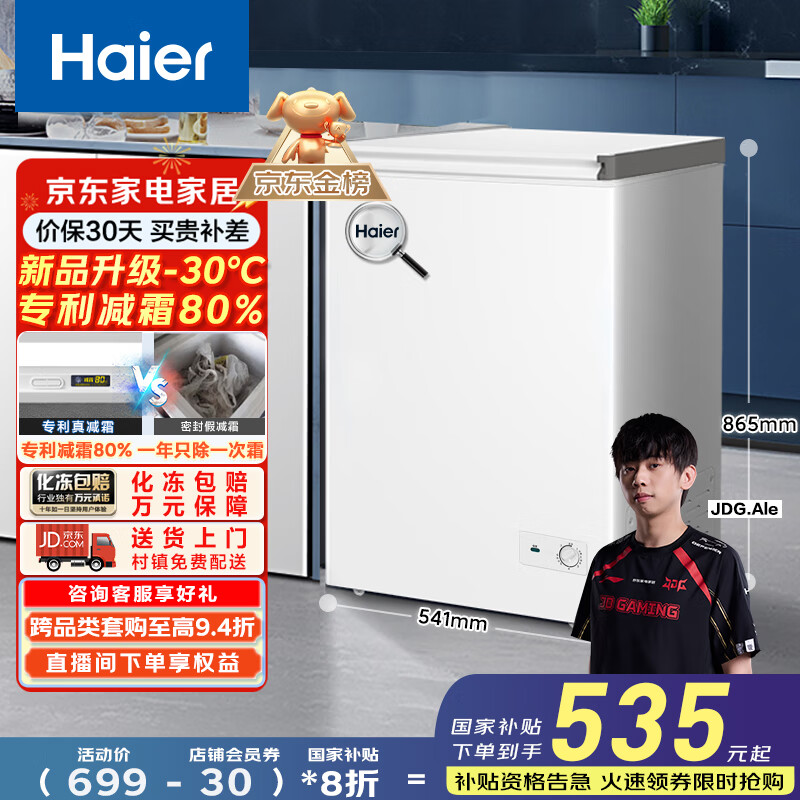 海爾 Haier 100升一級能效低霜小冰柜家用商用冷藏柜小型冷柜BC/BD-100GHW9D -30°C深冷速凍 100L