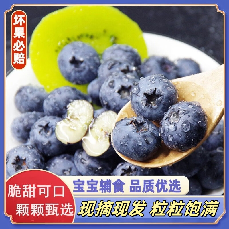 SHINE GRACE【JD包郵】新鮮高山藍(lán)莓鮮果現(xiàn)摘當(dāng)季孕婦寶寶應(yīng)季水果送禮整箱 單盒100g——120g 【中果12mm+】4盒丨凈重410g+