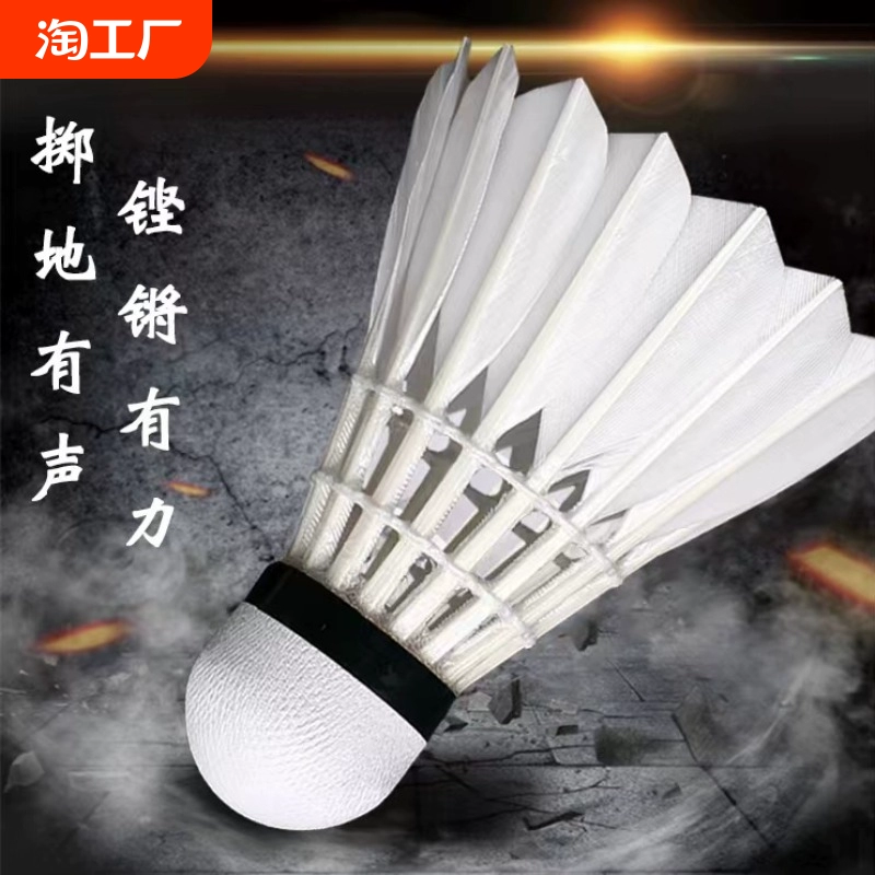 羽毛球正品12耐打王羽室外訓練比賽專用防風發(fā)光尼龍球6耐用專業(yè)