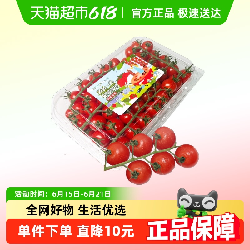 88VIP會員：知翠紅散串櫻桃番茄2斤家庭裝