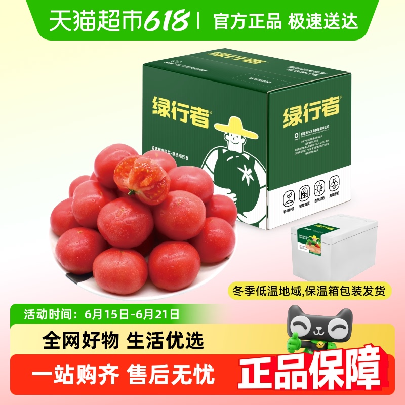綠行者 GREER 小粉番茄蔬菜西紅柿2.5kg