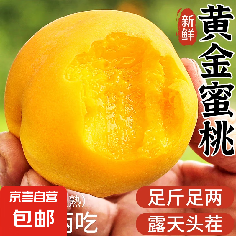 蒙陰黃桃【地標(biāo)認(rèn)證】毛桃脆甜水蜜桃子時令新鮮水果單果100g+ 5斤優(yōu)選裝丨泡沫托丨凈重4.5斤