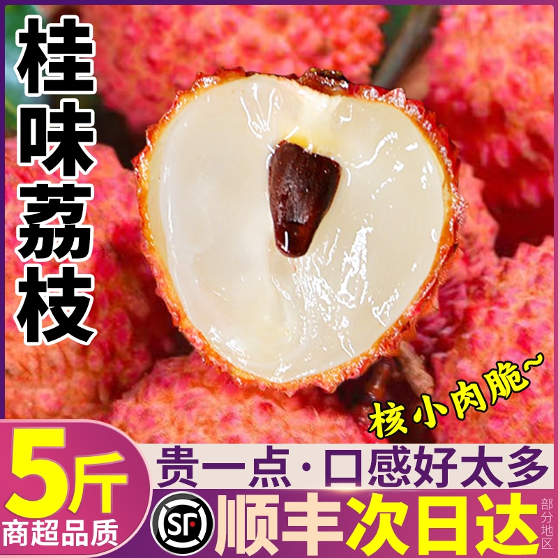 鉑果 順豐桂味荔枝5斤禮盒裝新鮮時令孕婦水果樹上熟荔枝老樹大果整箱