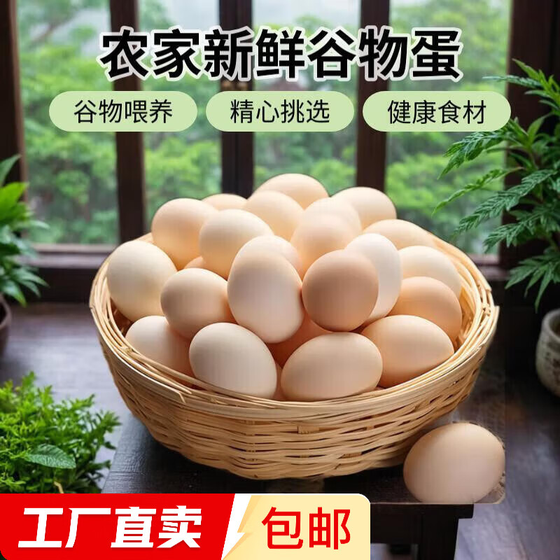 谷物鮮雞蛋 農(nóng)戶散養(yǎng)新鮮雞蛋 單枚50g±5 10枚（500克）