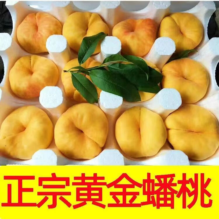 特大果 山東蒙陰 黃金毛蟠桃 2.5斤 4-7個