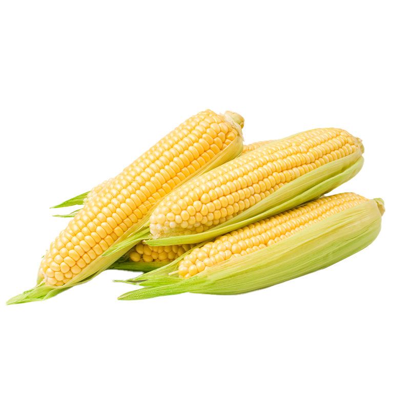 小程序：佳農寶菜 山東玉米單根275g+鮮甜多汁 4-7根 凈重4.6斤
