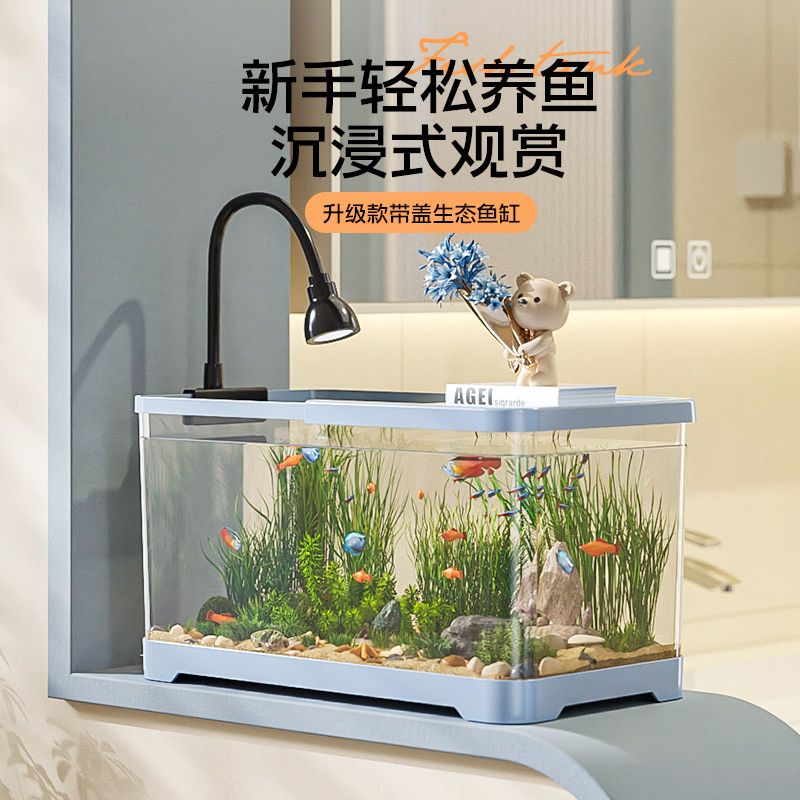 百億補貼：D-cat 多可特 魚缸水族箱 塑料款 30*20*18cm